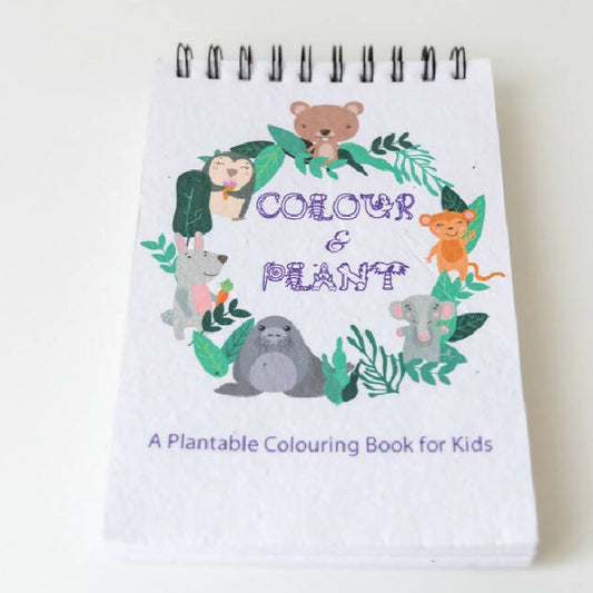 Colour Me Gift Set - Plantable from Caidra Gifting 